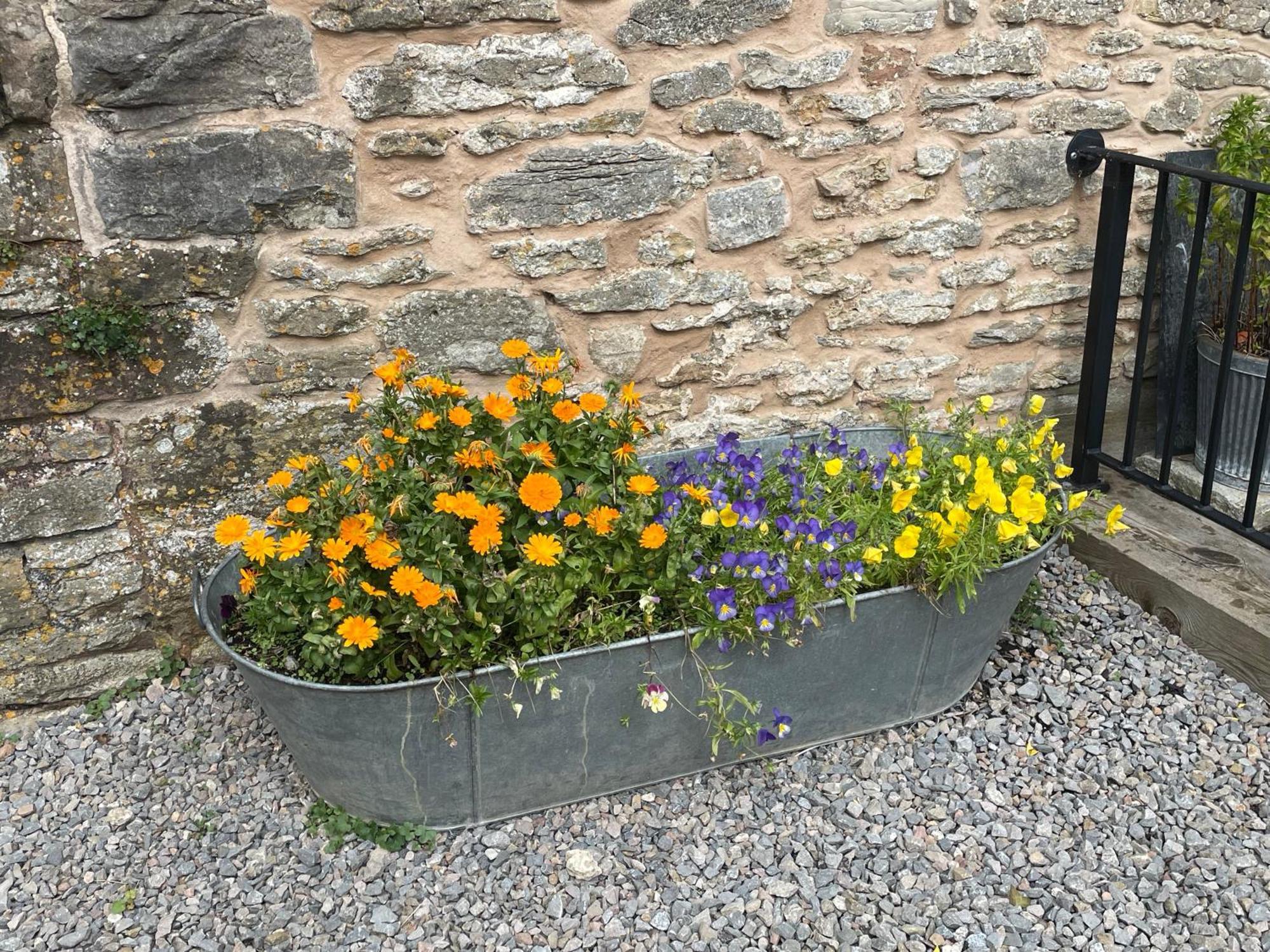 Acorn Cottage Ross-on-Wye Ngoại thất bức ảnh